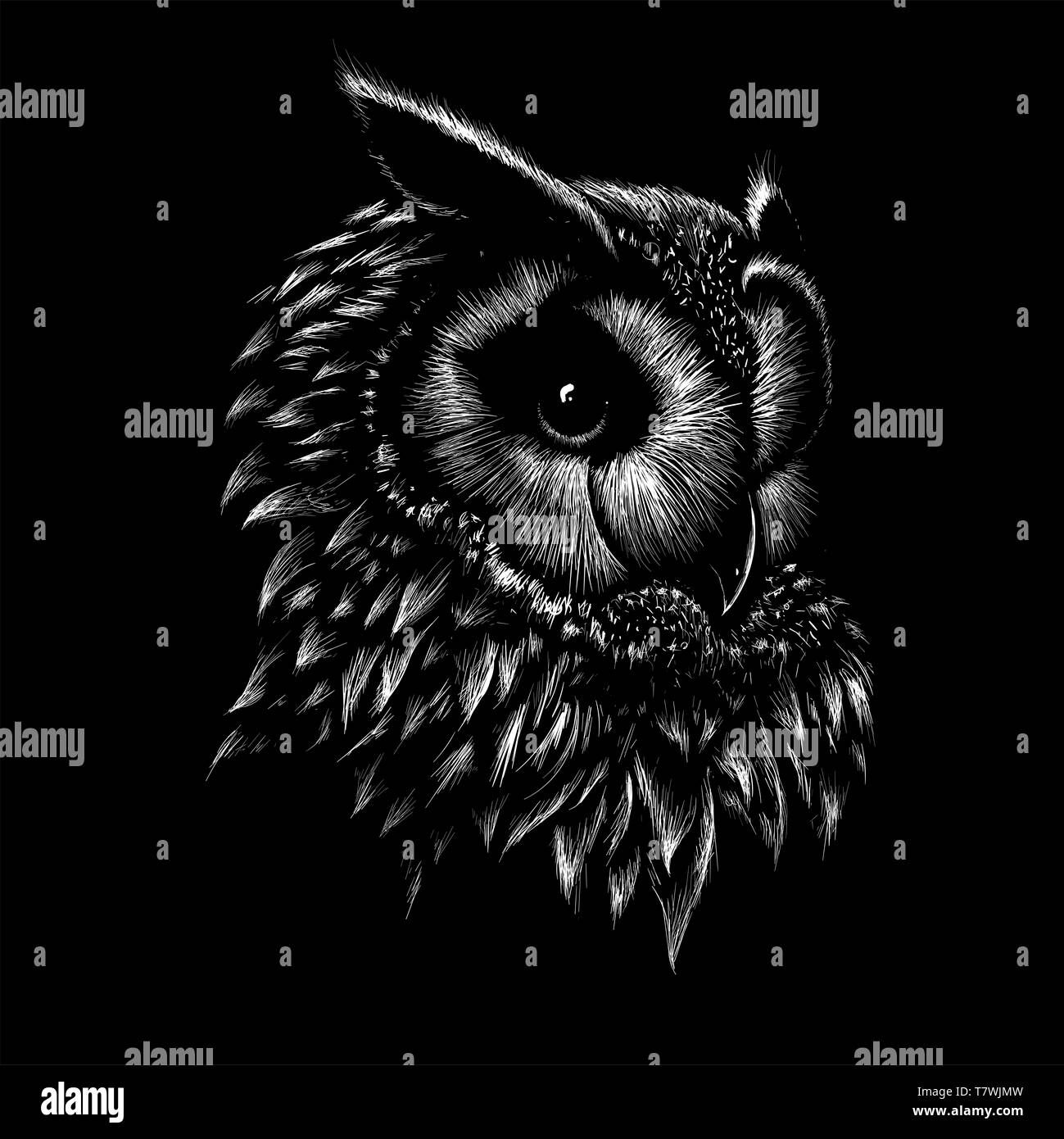 Le logo Vector owl pour tatouage ou T-shirt print design ou d'extérieur. Style de chasse des arrière-plan. Banque D'Images