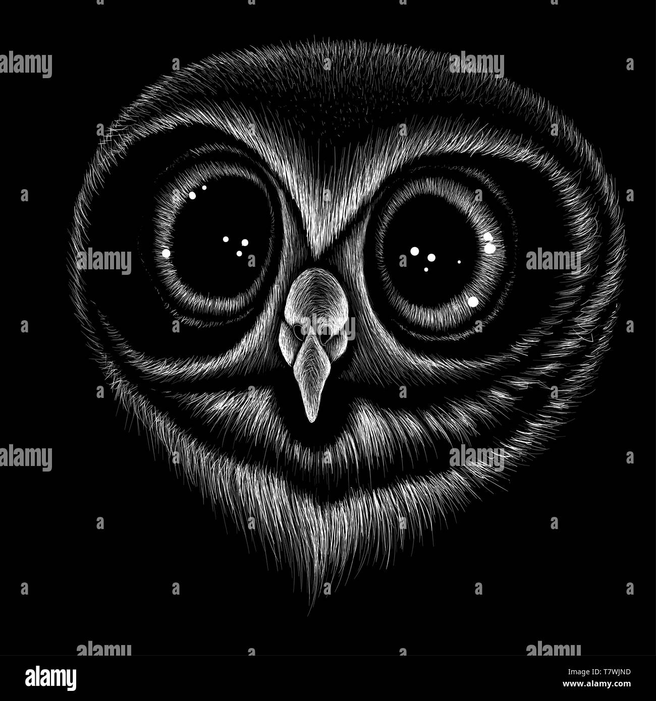 Le logo Vector owl pour tatouage ou T-shirt print design ou d'extérieur. Style de chasse des arrière-plan. Banque D'Images