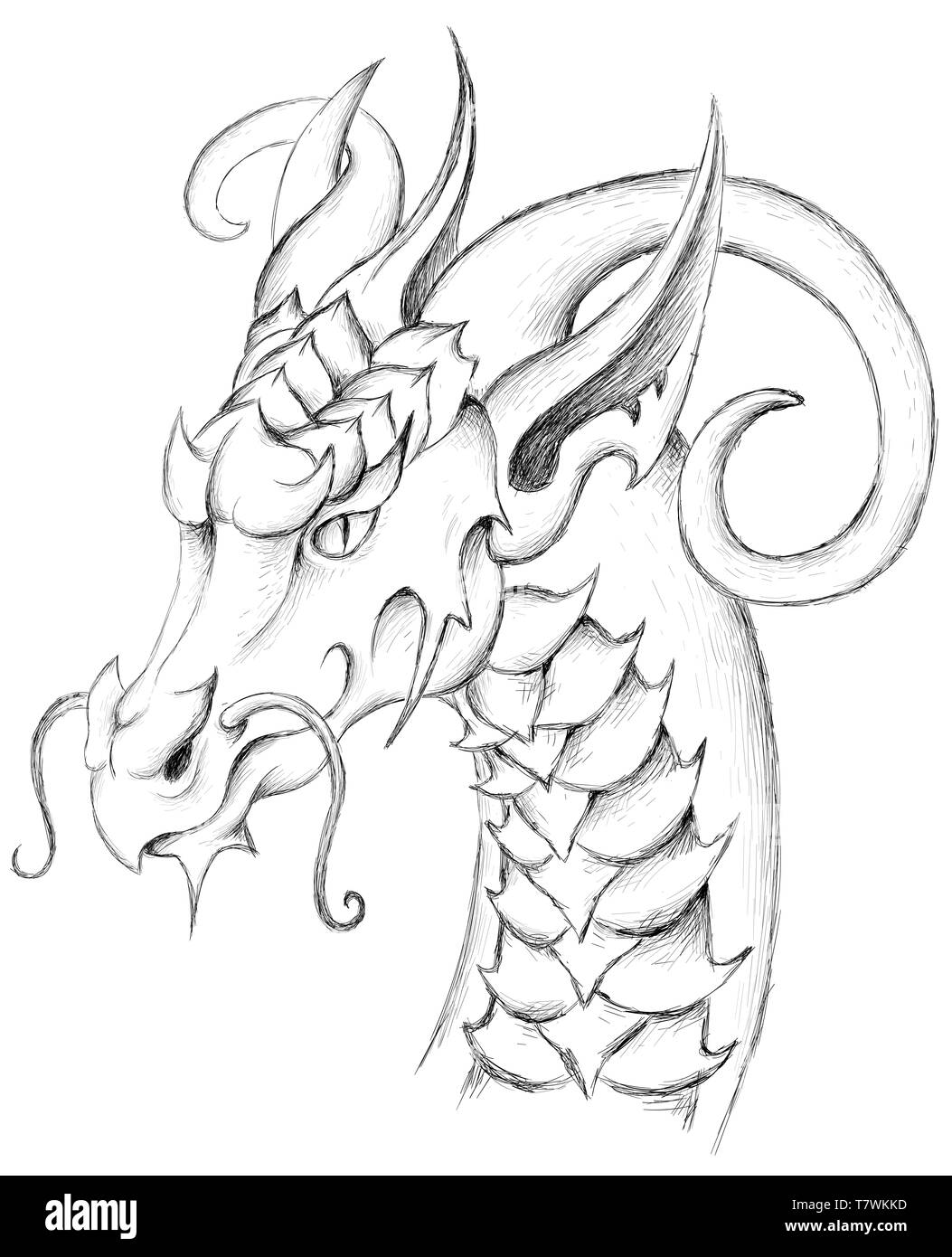 Le logo Vector dragon pour tatouage ou T-shirts ou d'extérieur. Cute dragon style d'impression de fond. Banque D'Images