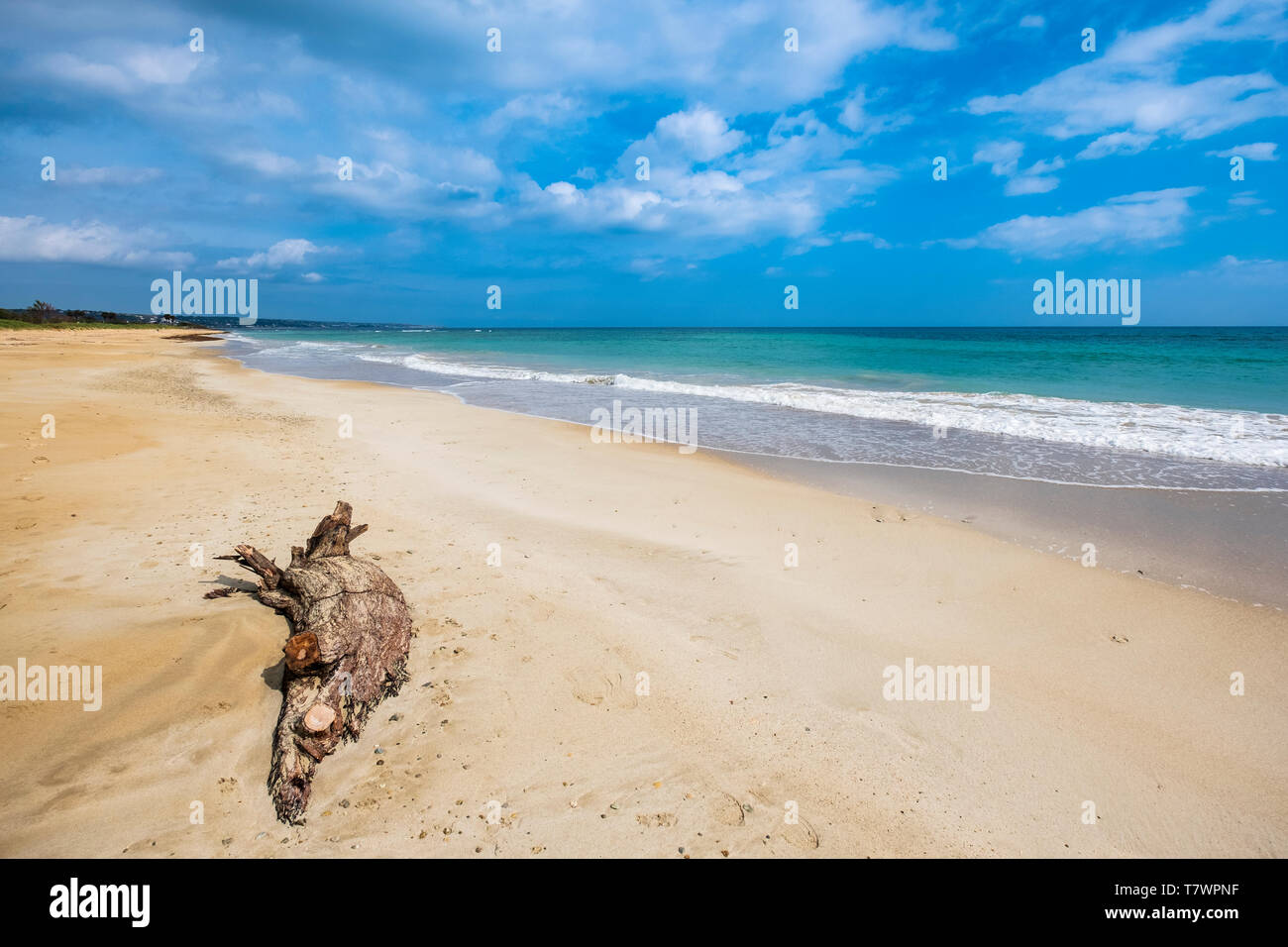Italie, Pouilles, Salento, aussi appelée plage Pescoluse Maldives du Salento Banque D'Images