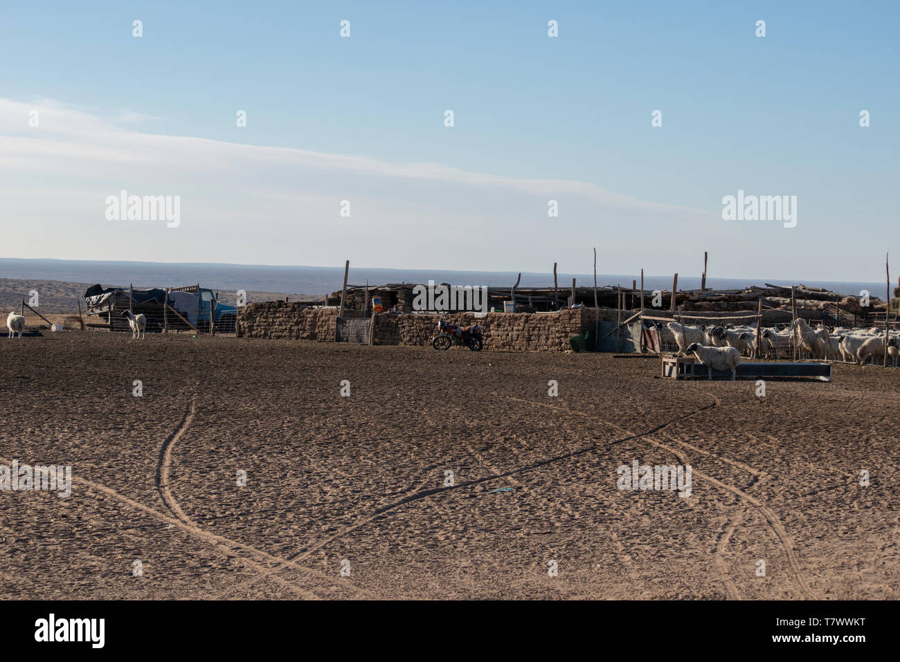 Les moutons sont dans le stylo dans le pâturage.en Mongolie intérieure, en Chine. Banque D'Images