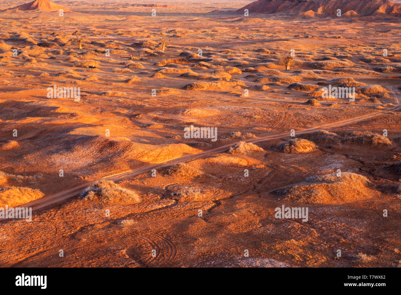 Paysages de Gobi le matin.la Mongolie intérieure, la Chine. Banque D'Images