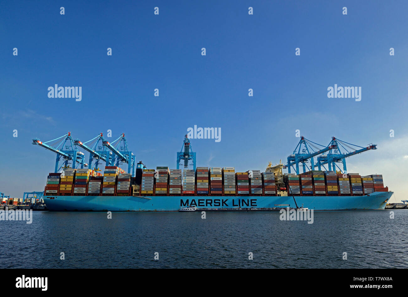 Port de Rotterdam, Pays-Bas, 2017-09-24 : porte-conteneurs margrethe maersk en tenant des bunkers et travaillant au terminal de fret apm prinses amaliahaven Banque D'Images