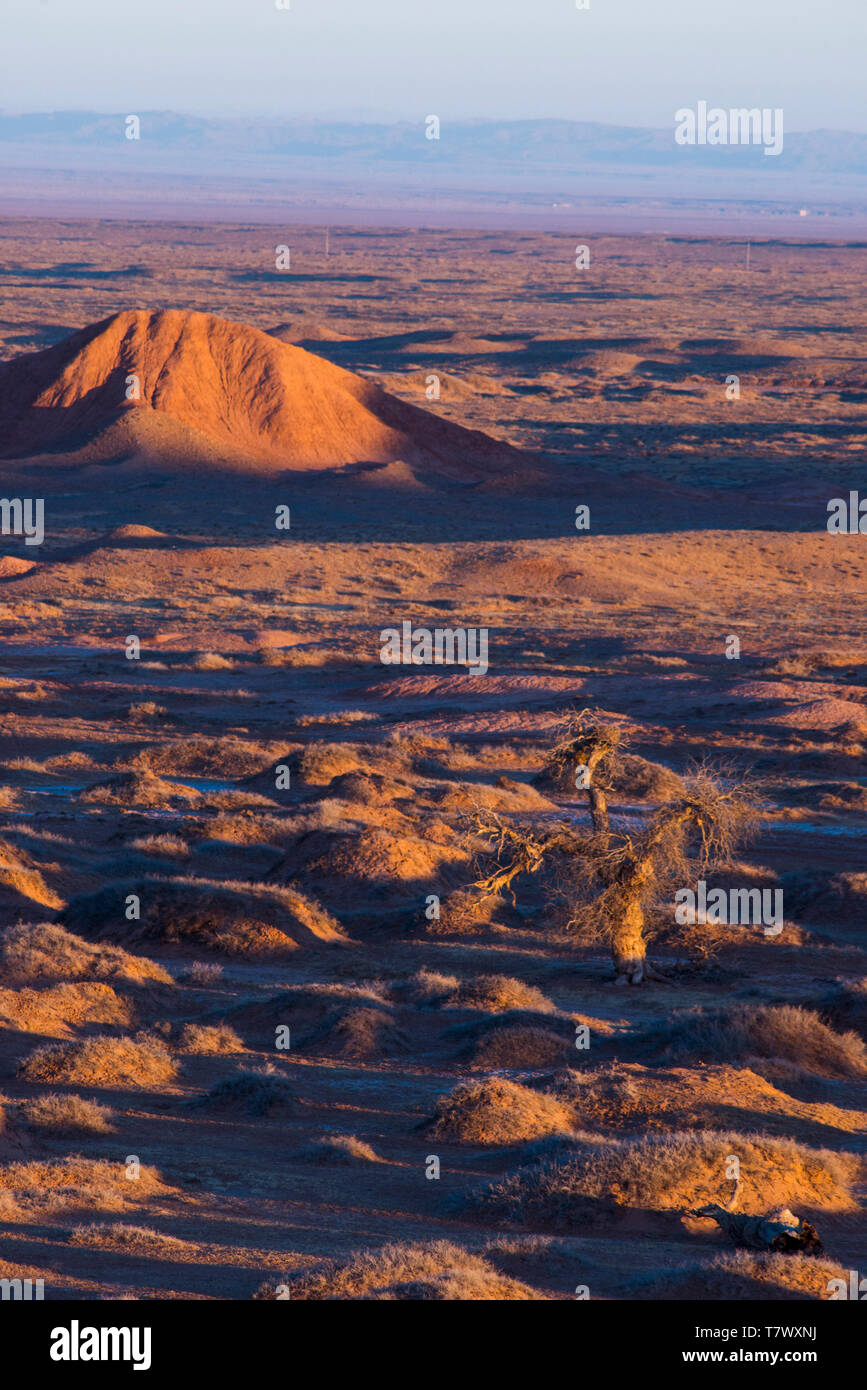 Paysages de Gobi le matin.la Mongolie intérieure, la Chine. Banque D'Images