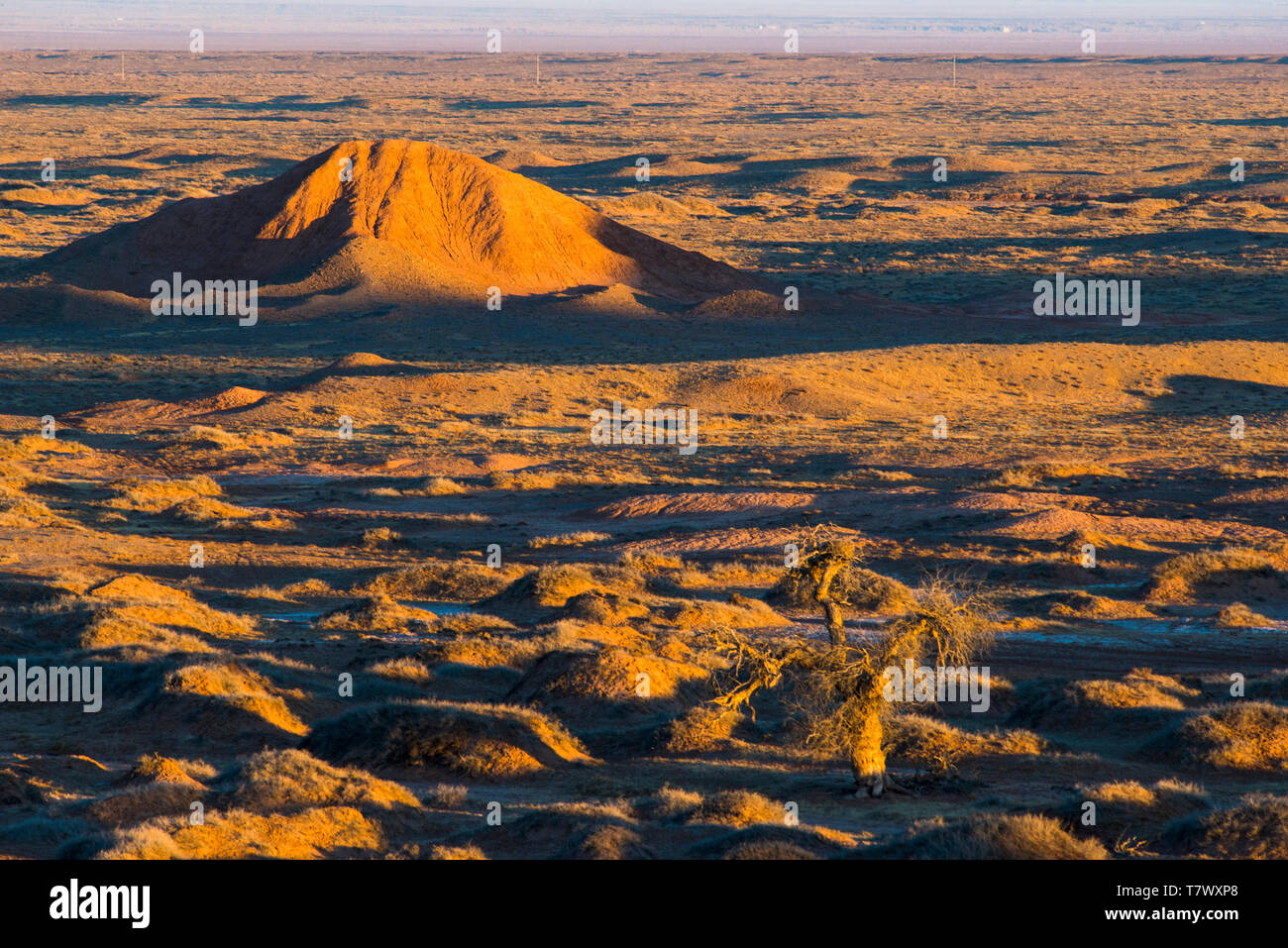 Paysages de Gobi le matin.la Mongolie intérieure, la Chine. Banque D'Images