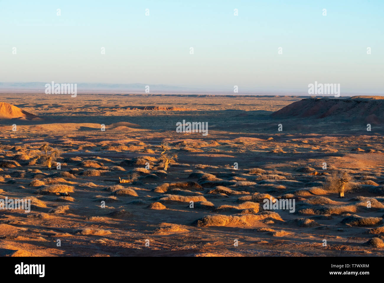Paysages de Gobi le matin.la Mongolie intérieure, la Chine. Banque D'Images