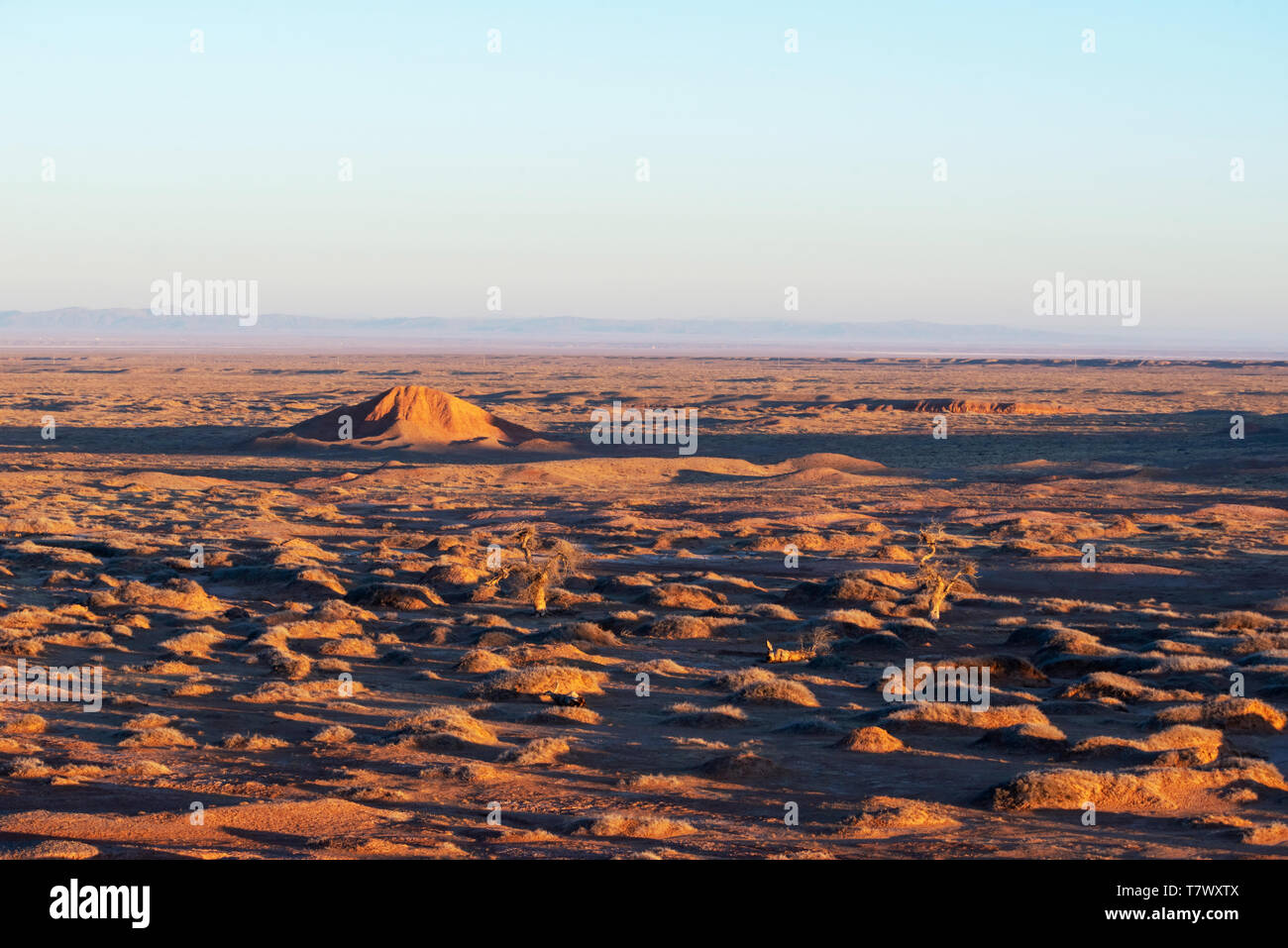 Paysages de Gobi le matin.la Mongolie intérieure, la Chine. Banque D'Images