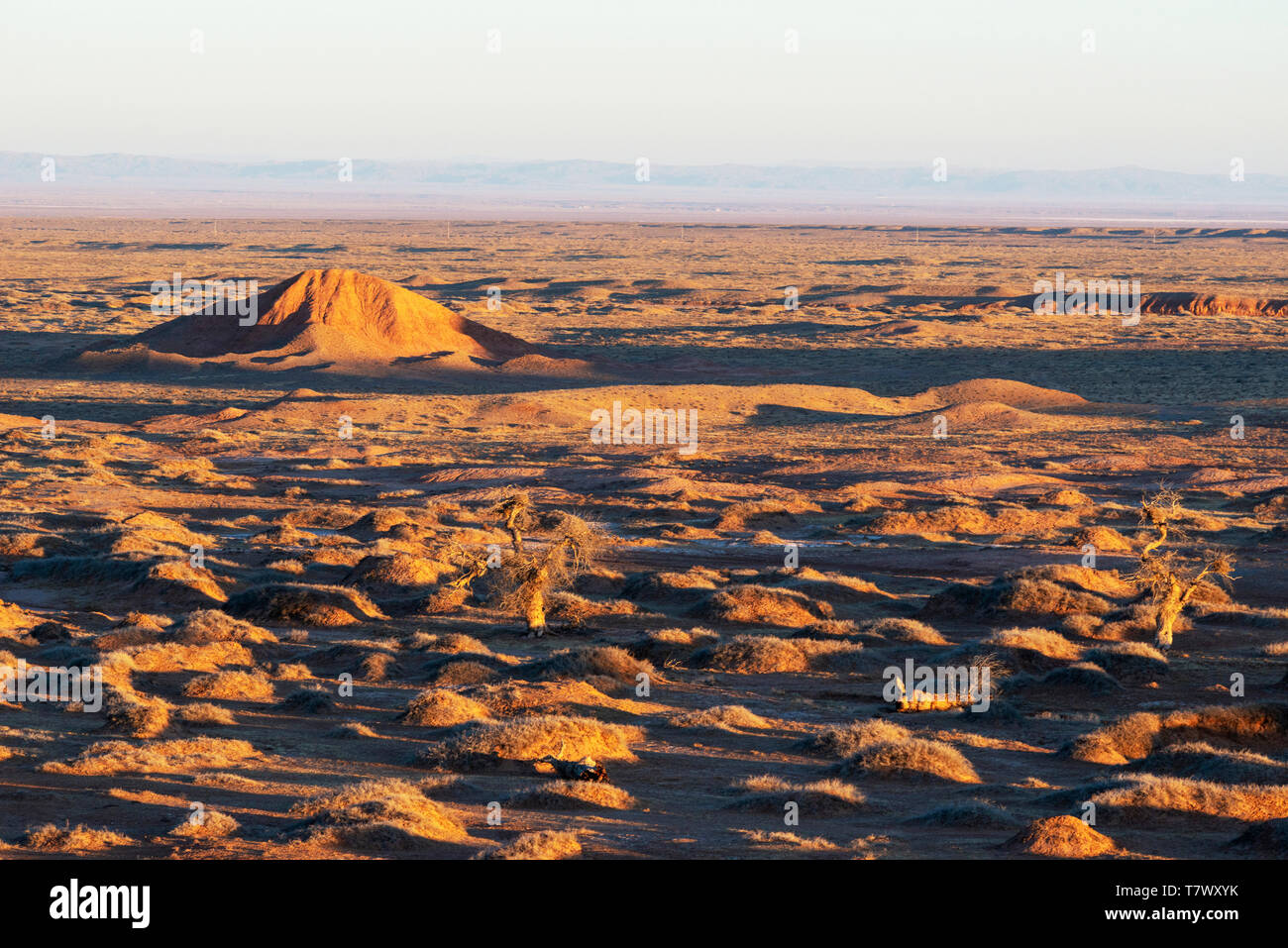 Paysages de Gobi le matin.la Mongolie intérieure, la Chine. Banque D'Images