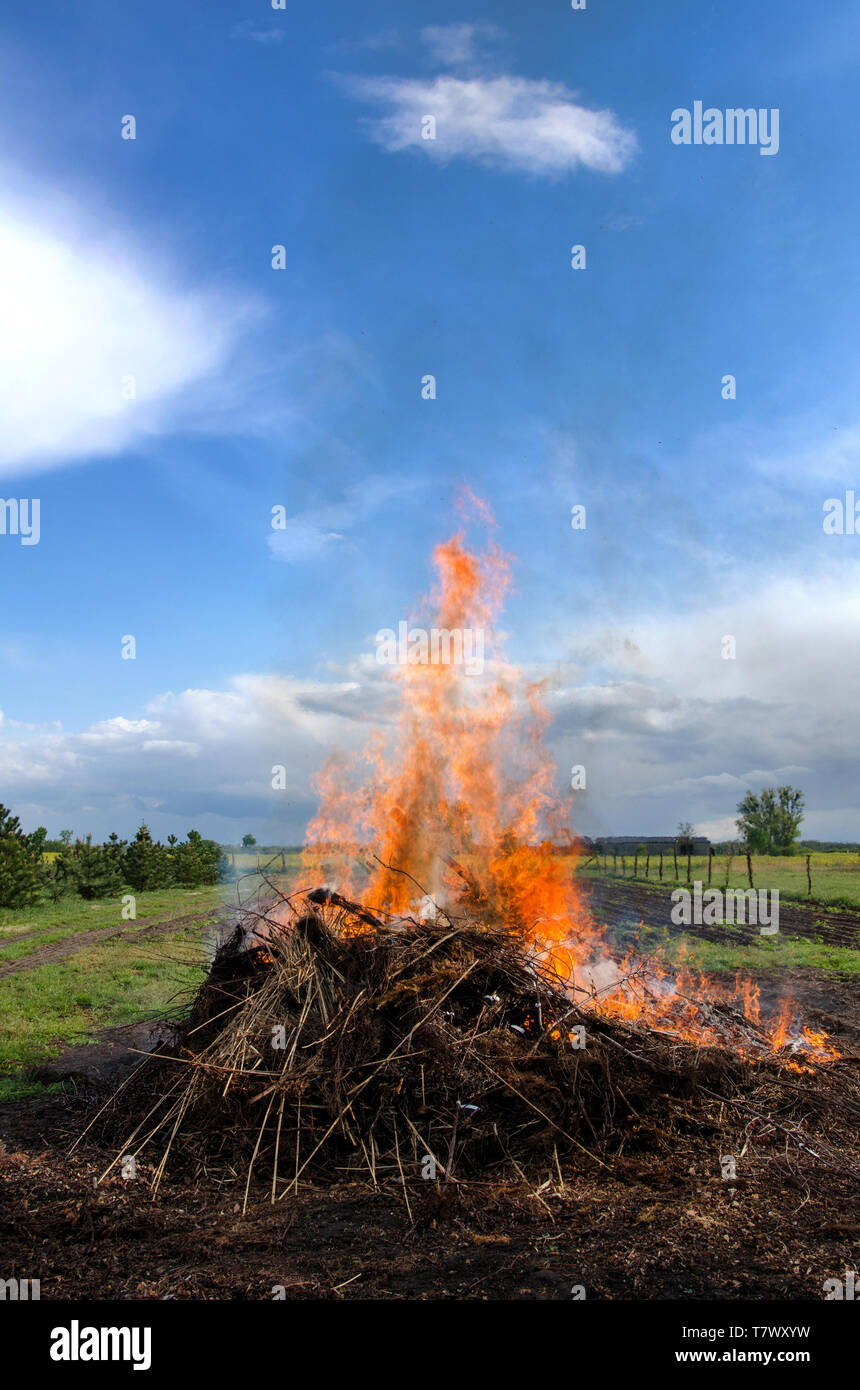 Flammes d'un grand feu s'élevant dans le ciel bleu avec des nuages sur un beau jour de printemps, suny dans un paysage rural Banque D'Images