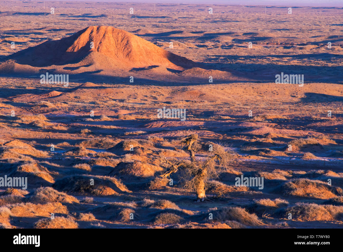 Paysages de Gobi le matin.la Mongolie intérieure, la Chine. Banque D'Images