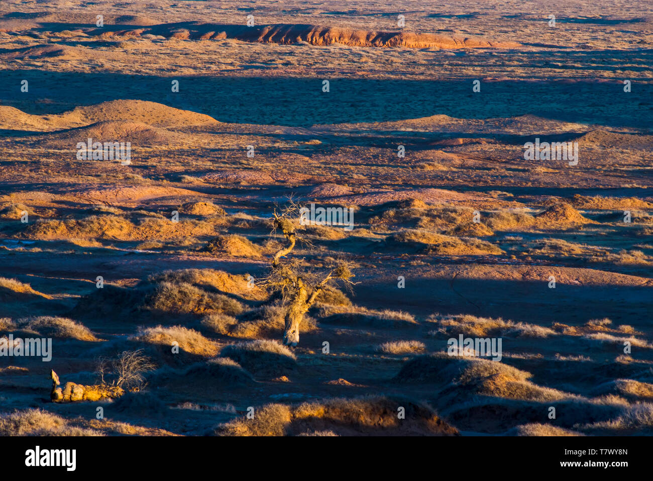 Paysages de Gobi le matin.la Mongolie intérieure, la Chine. Banque D'Images