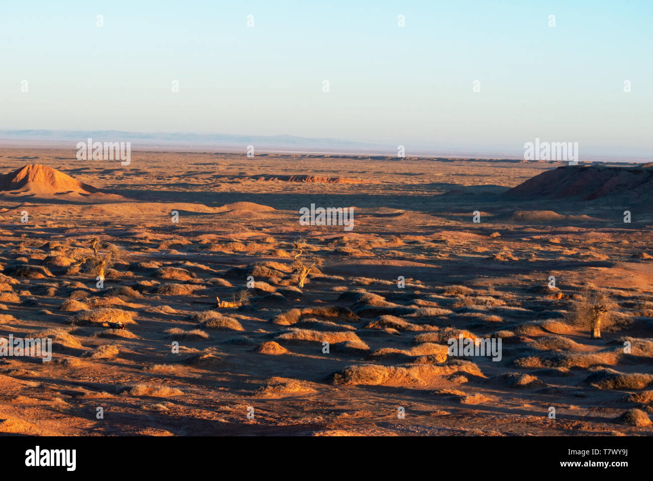 Paysages de Gobi le matin.la Mongolie intérieure, la Chine. Banque D'Images