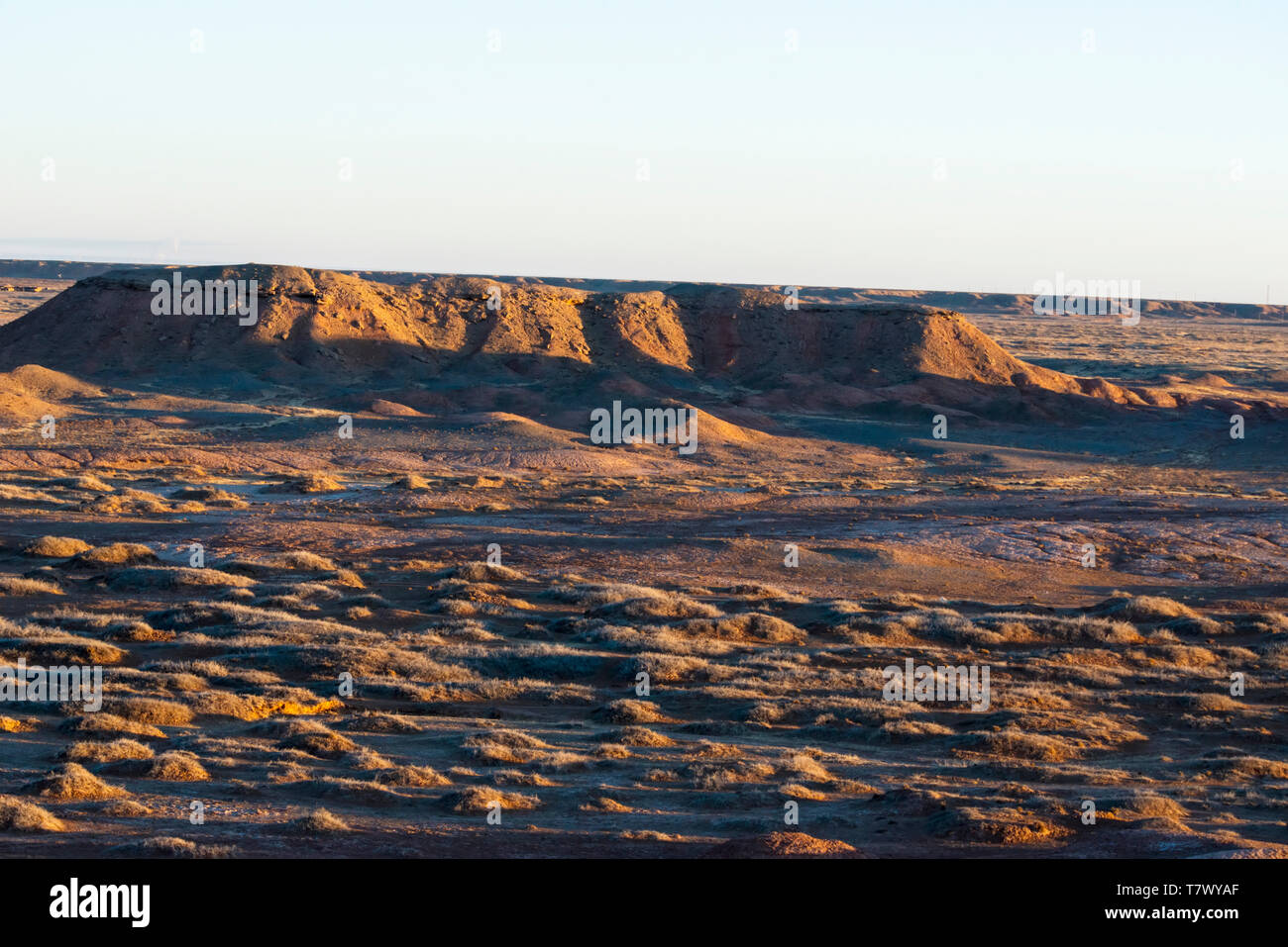 Paysages de Gobi le matin.la Mongolie intérieure, la Chine. Banque D'Images