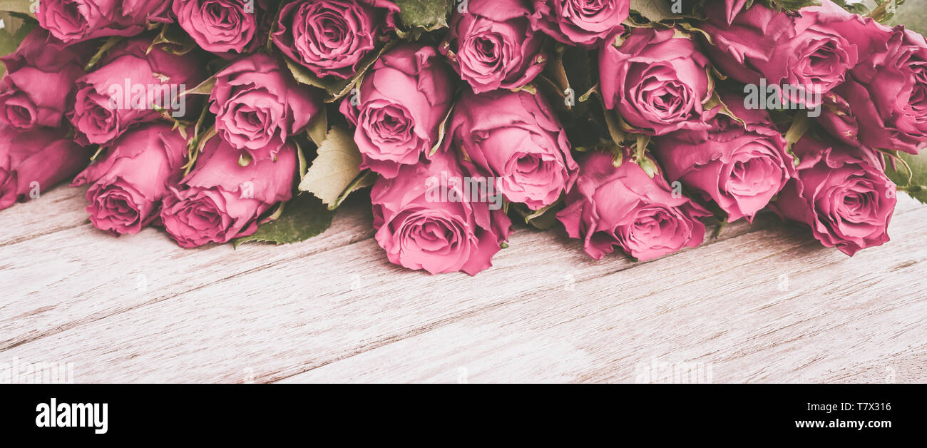 Roses rose border sur le bois. Banque D'Images