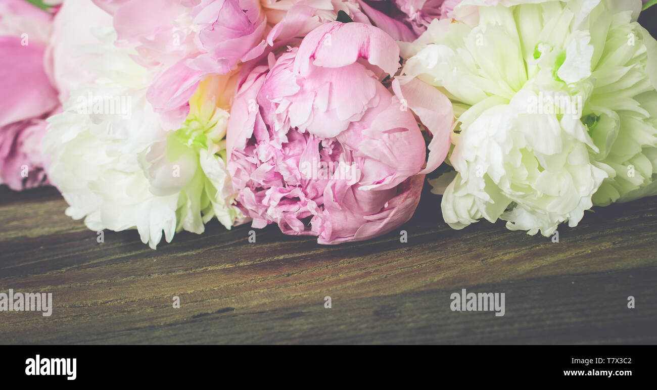 La pivoine frontière. Image vintage. Les Pivoines rose et blanc sur fond de bois. Close up de fleurs fraîches. L'espace pour le texte. Banque D'Images