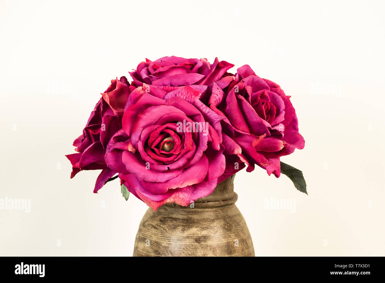 Bouquet de roses roses dans un vase sur fond blanc. Banque D'Images