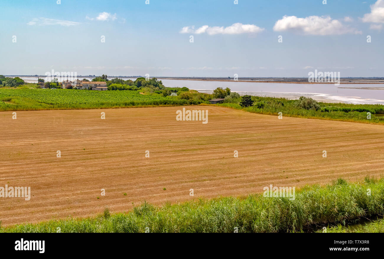 Décors près de Salt Pond d'évaporation dans la région de la Camargue, dans le sud de la France Banque D'Images