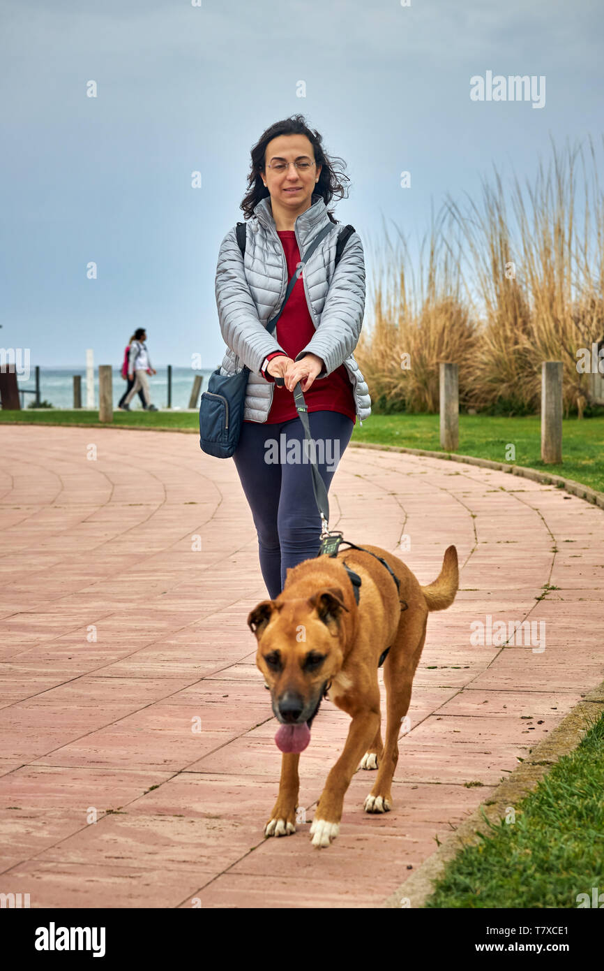 Jolie fille avec un chien marron Banque D'Images