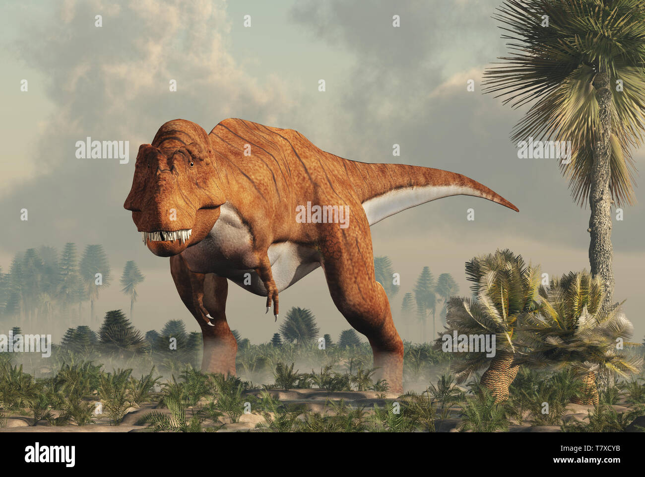 Un tyrannosaurus rex se trouve dans un milieu humide. préhistorique Dinosaure carnivore le plus