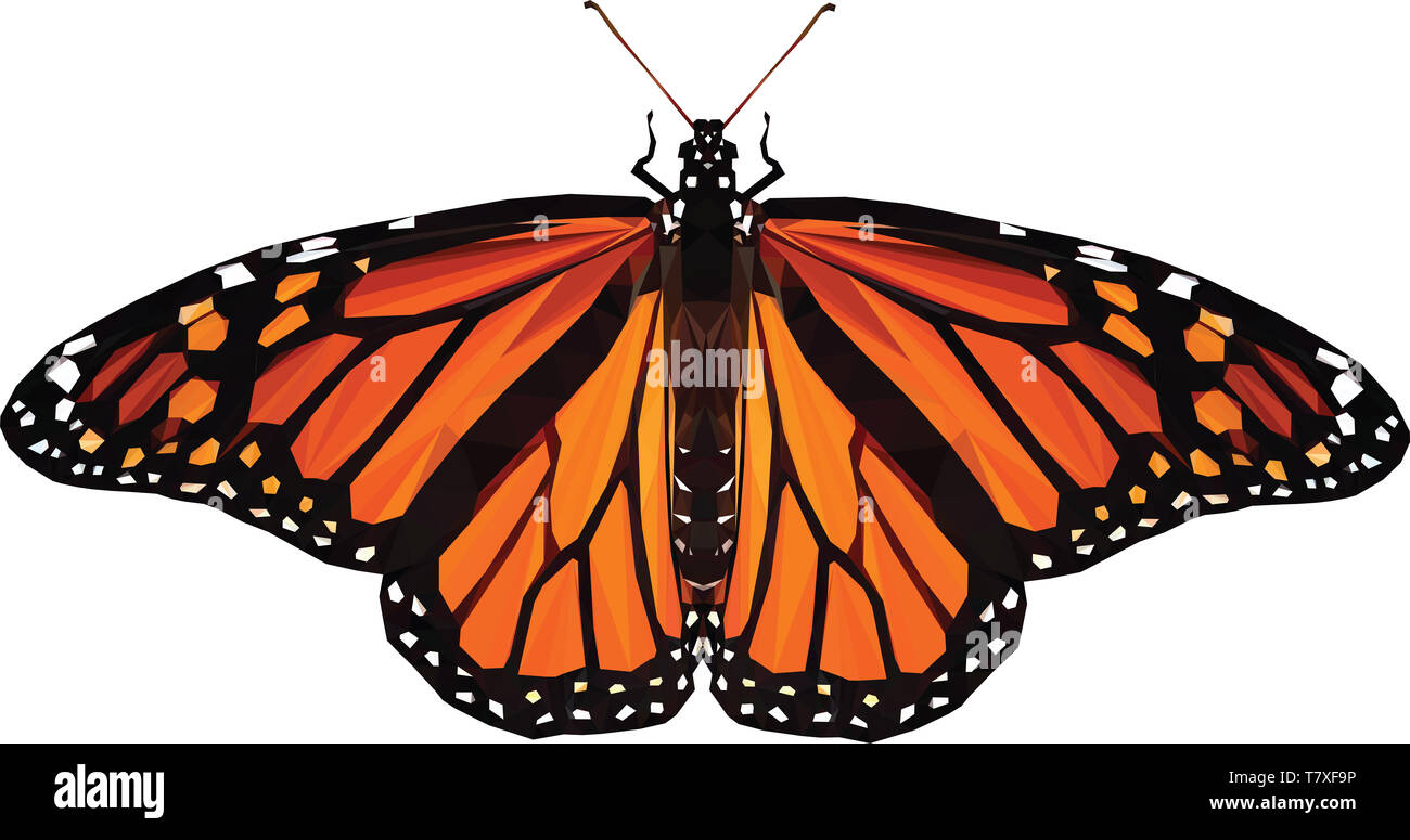 Low poly Papillon monarque avec ses ailes déployées Banque D'Images