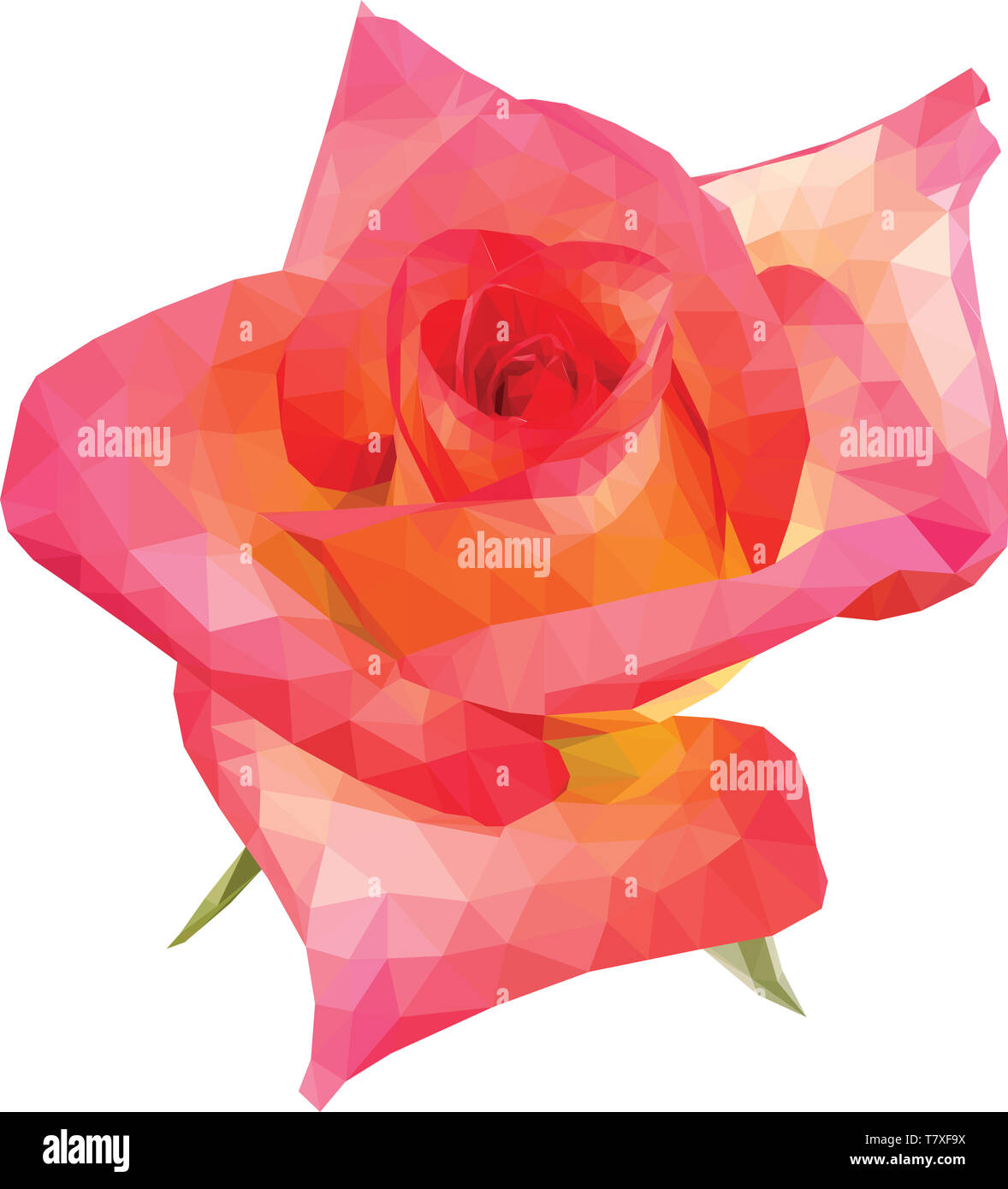 Low poly illustration d'une rose rouge Banque D'Images