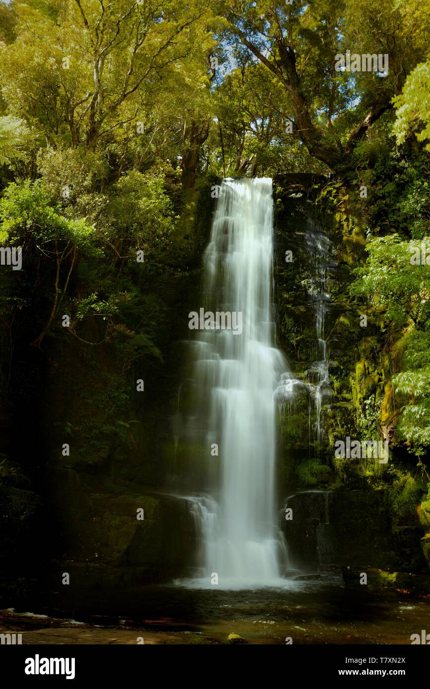 Nouvelle-zélande paysage - McLean Falls sur la rivière Tautuku Banque D'Images