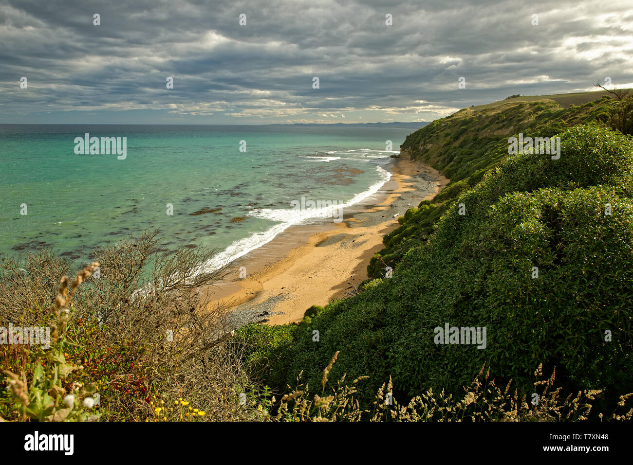 Nouvelle-zélande - paysage de bord de Oamaru, île du Sud, avec la colonie de pingouins. Banque D'Images