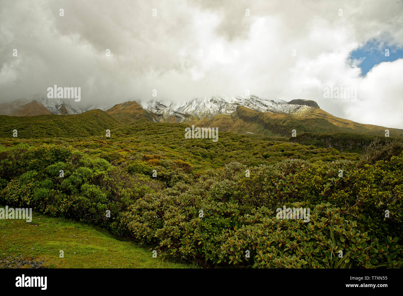 Le Mont Taranaki, volcan de l'île nord de la Nouvelle-Zélande, principalement le sommet est couvert par les nuages. Banque D'Images