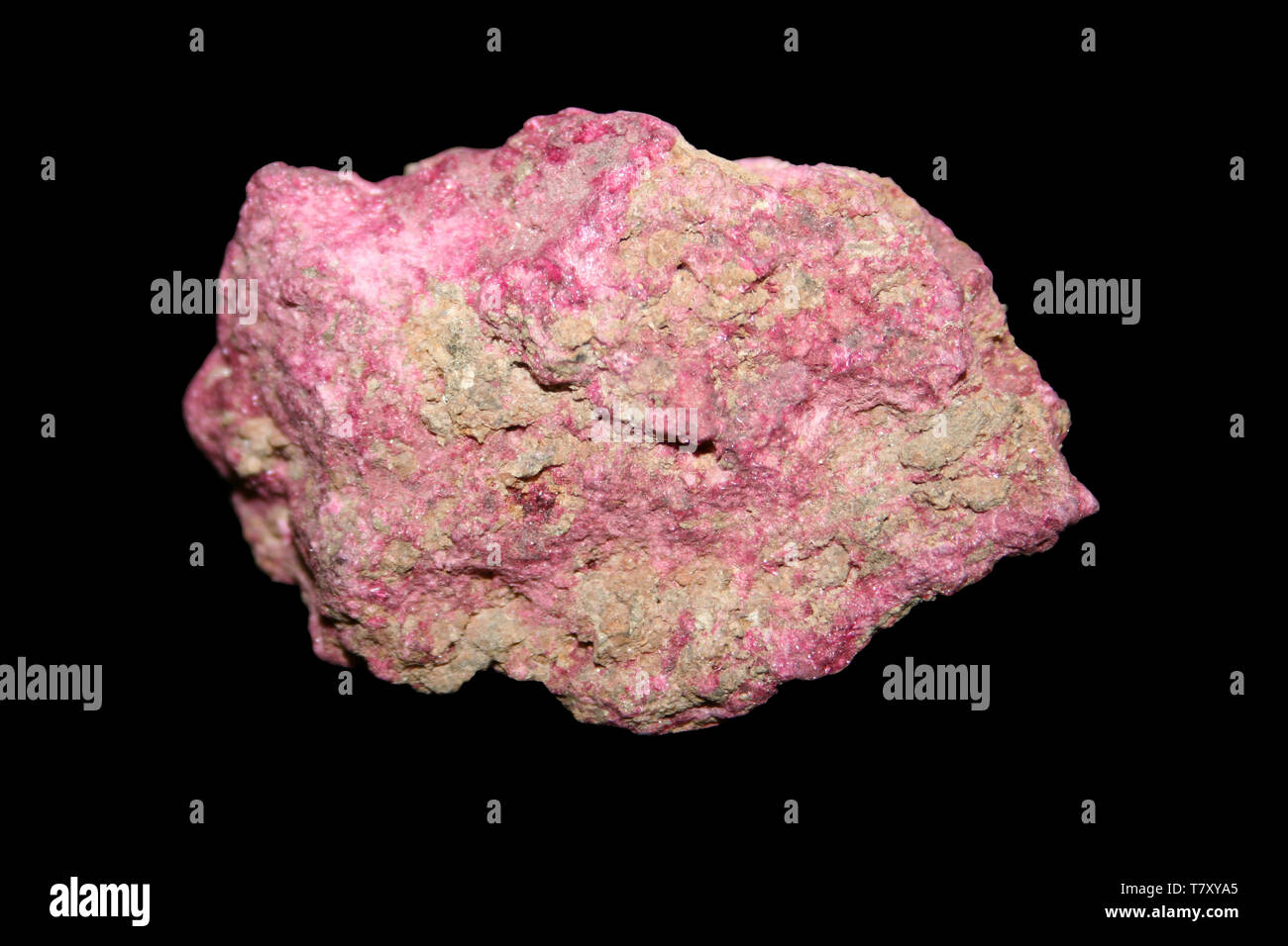 Erythrite ou rouge cobalt est un minéral secondaire de l'arséniate de cobalt hydraté Banque D'Images