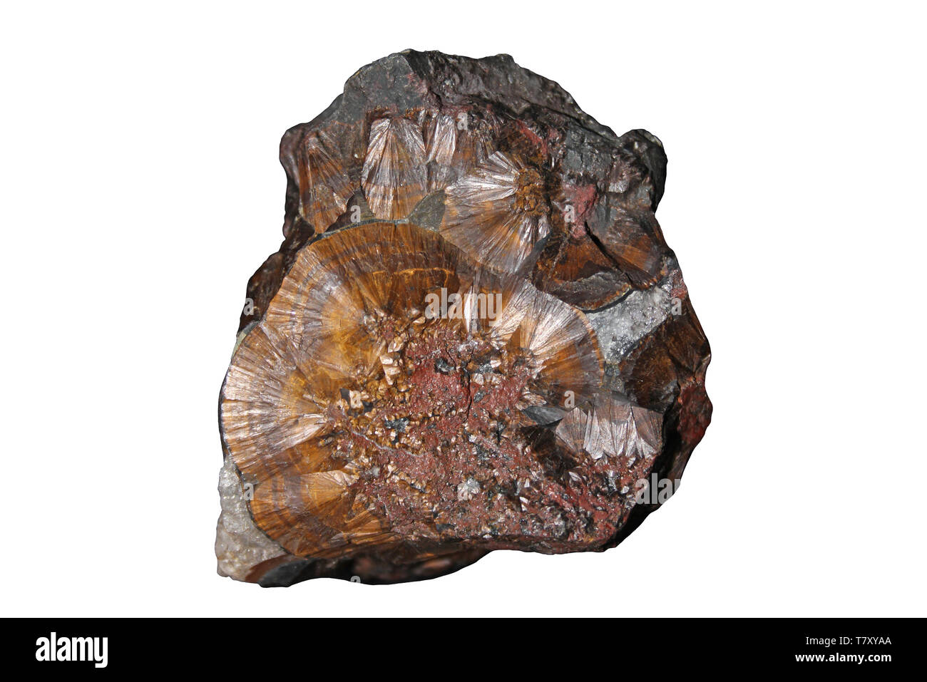 La Limonite (oxyde ferrique hydraté) Banque D'Images