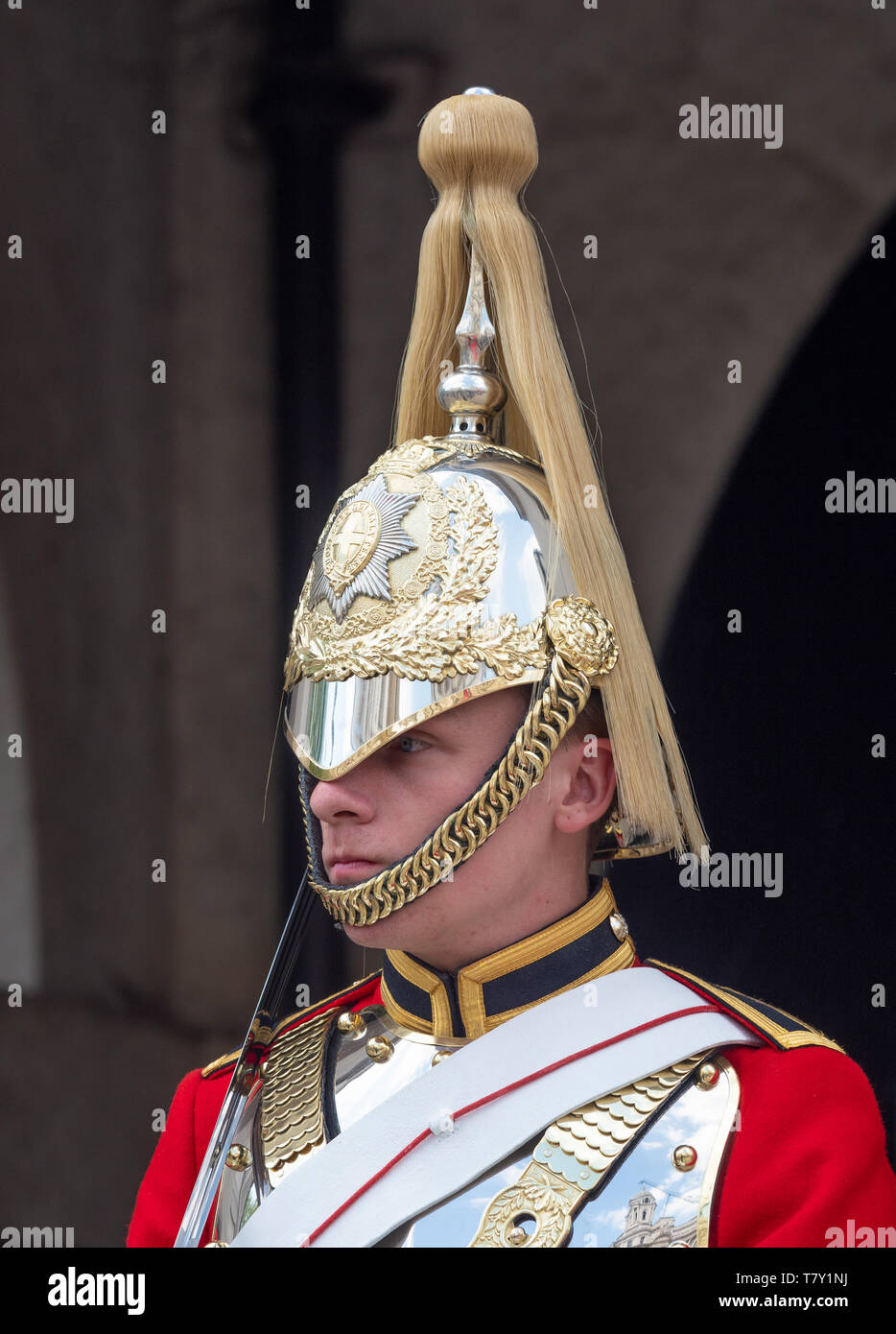 Life Guard de la Household Cavalry de fixation de la garde côtière à Horse Guards, Whitehall, Londres, Royaume-Uni. Banque D'Images