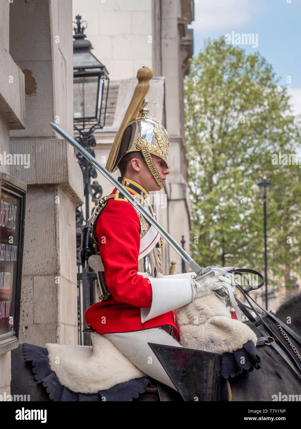 Life Guard de la Household Cavalry de fixation de la garde côtière à Horse Guards, Whitehall, Londres, Royaume-Uni. Banque D'Images