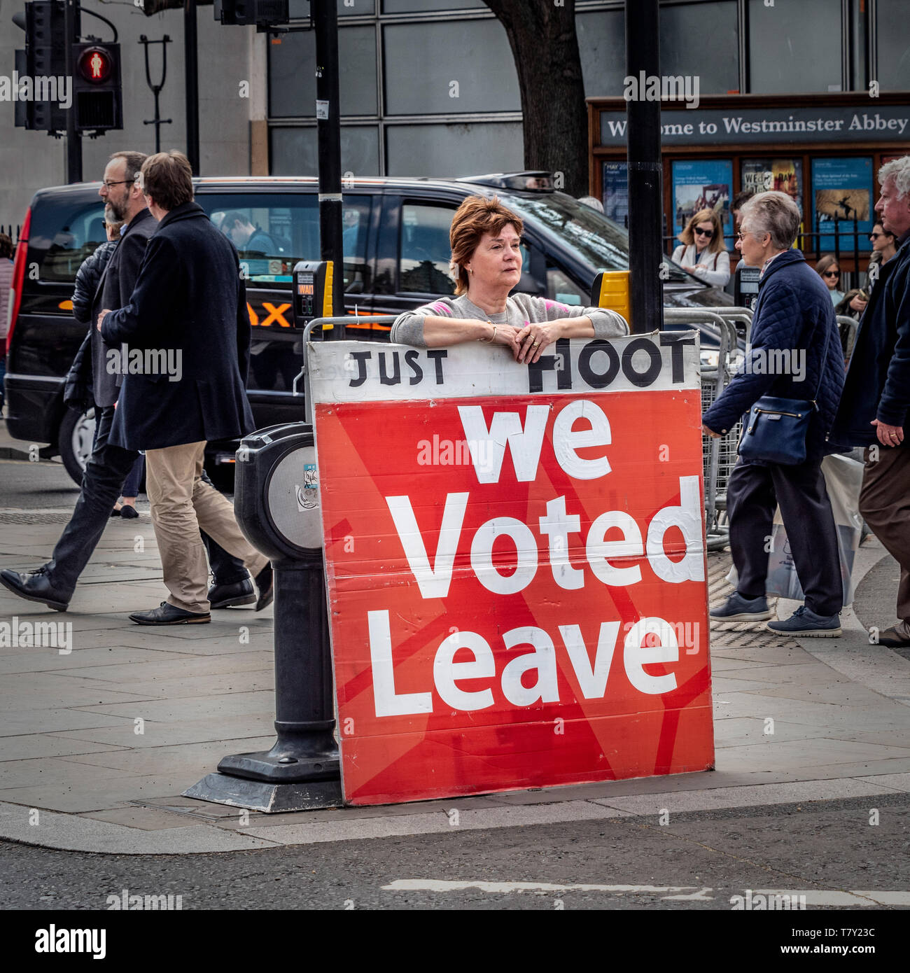 Brexit manifestants devant Westminster, London, UK. Banque D'Images