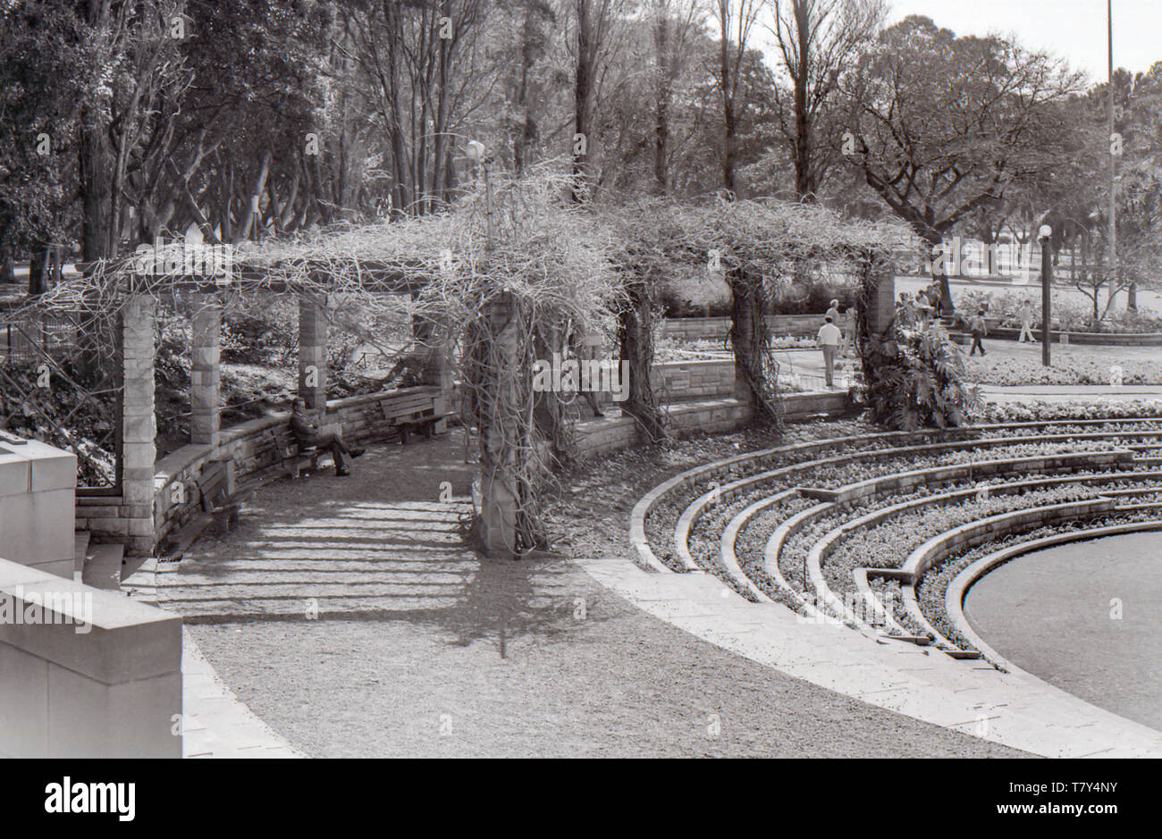 Une vue sur l'une des pergolas et une partie du Sandringham Memorial Garden circulaire à Hyde Park. Le jardin a été créé en 1953 en tant que projet conjoint des gouvernements de la ville et de l'État et a été conçu par le sculpteur Sydney Lyndon Raymond Dadswell et l'architecte Henry Epstein. Le jardin et une fontaine centrale ont été construits en mémoire de feu le roi George V et le roi George VI et ont été ouverts par la reine Elizabeth II le 5 février 1954 lors d'une visite royale. Banque D'Images