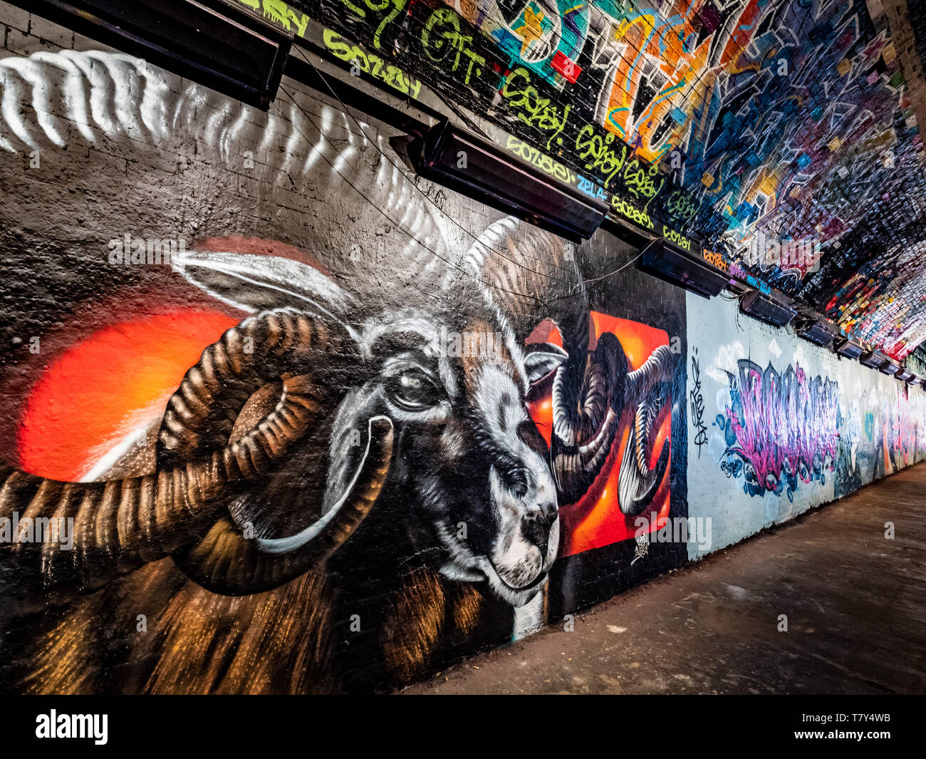 Le Tunnel, Banksy ( Leake St Tunnel ou Leake Street Arches ) lieu légal sous la gare de Waterloo, Londres, Royaume-Uni. Banque D'Images