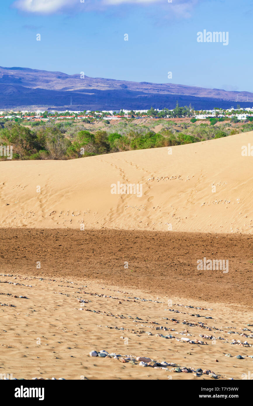 Paysage avec des dunes de sable connu wel de Maspalomas, Grande Canarie, Îles Canaries, Espagne. Banque D'Images