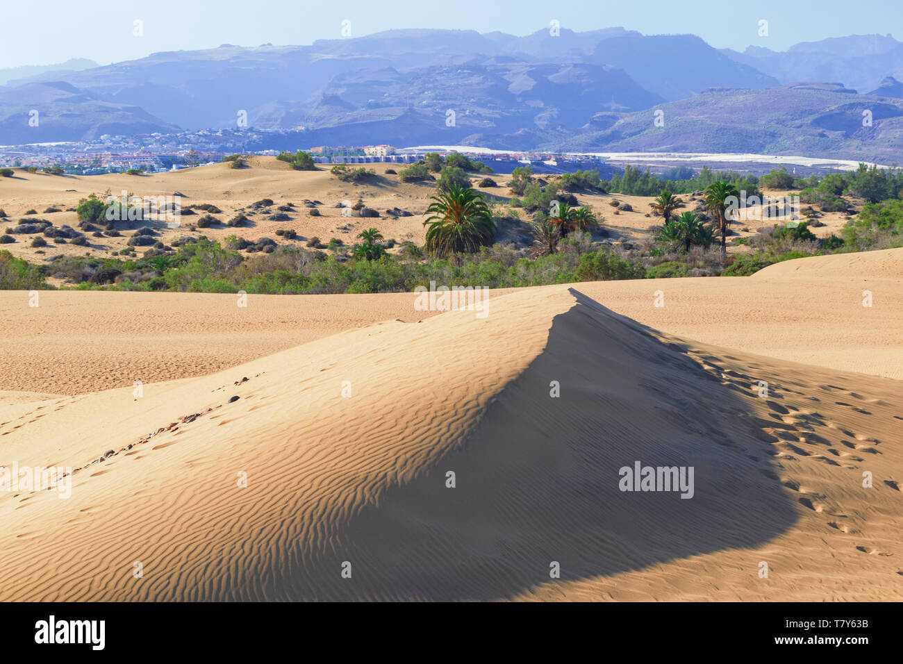 Paysage avec des dunes de sable connu wel de Maspalomas, Grande Canarie, Îles Canaries, Espagne. Banque D'Images