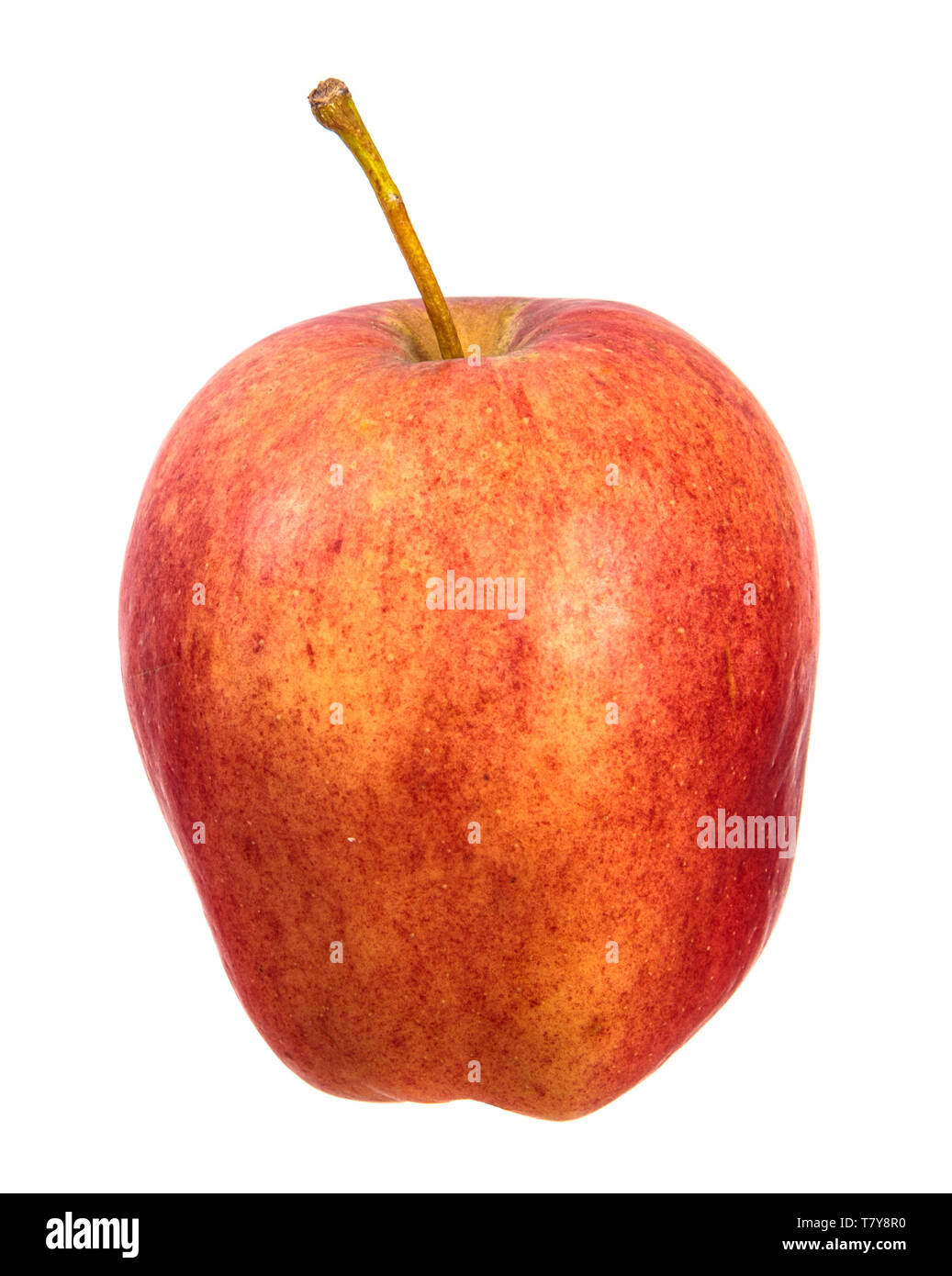 Ripe apple savoureux sur fond blanc. Banque D'Images