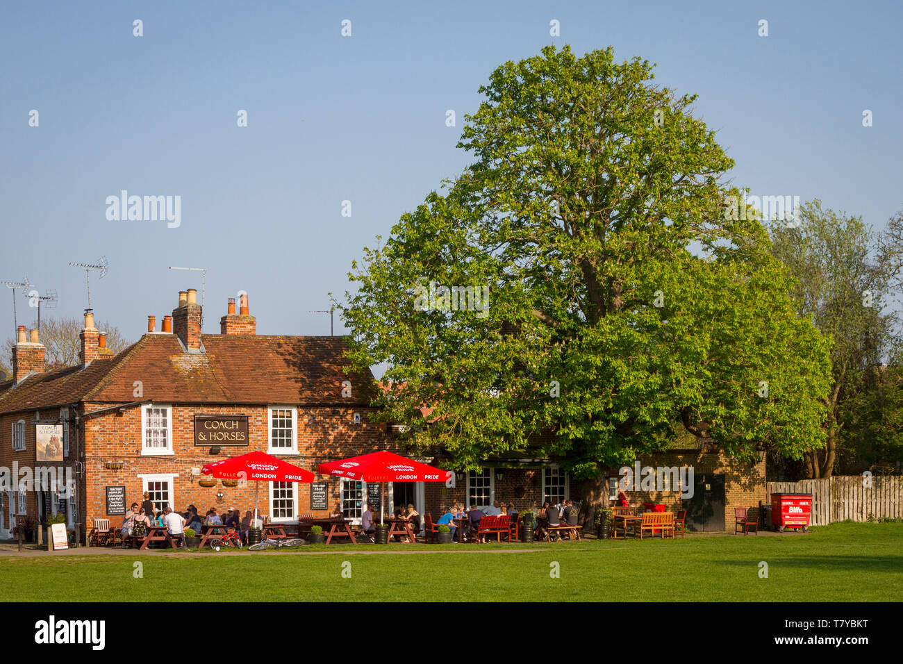 Se détendre dans le soleil du soir sous les parasols rouge vif à l'extérieur de l'entraîneur et les chevaux par la pub, Kinecroft Wallingford par un cheval châtaignier Banque D'Images