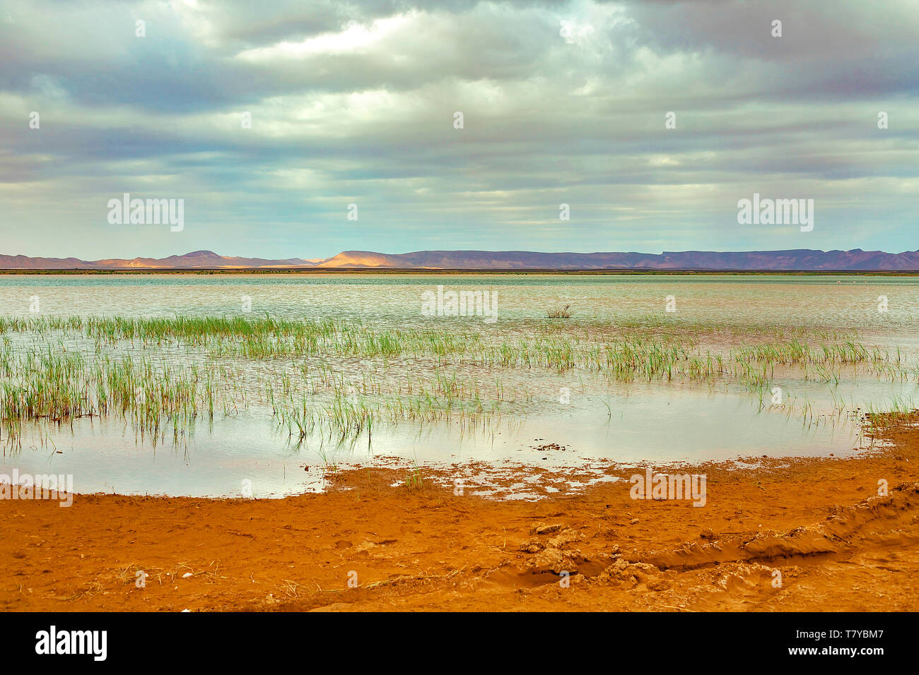 Lake au Maroc à l'aube au pied du désert du Sahara. Les rayons de soleil brillent à travers les nuages. Banque D'Images