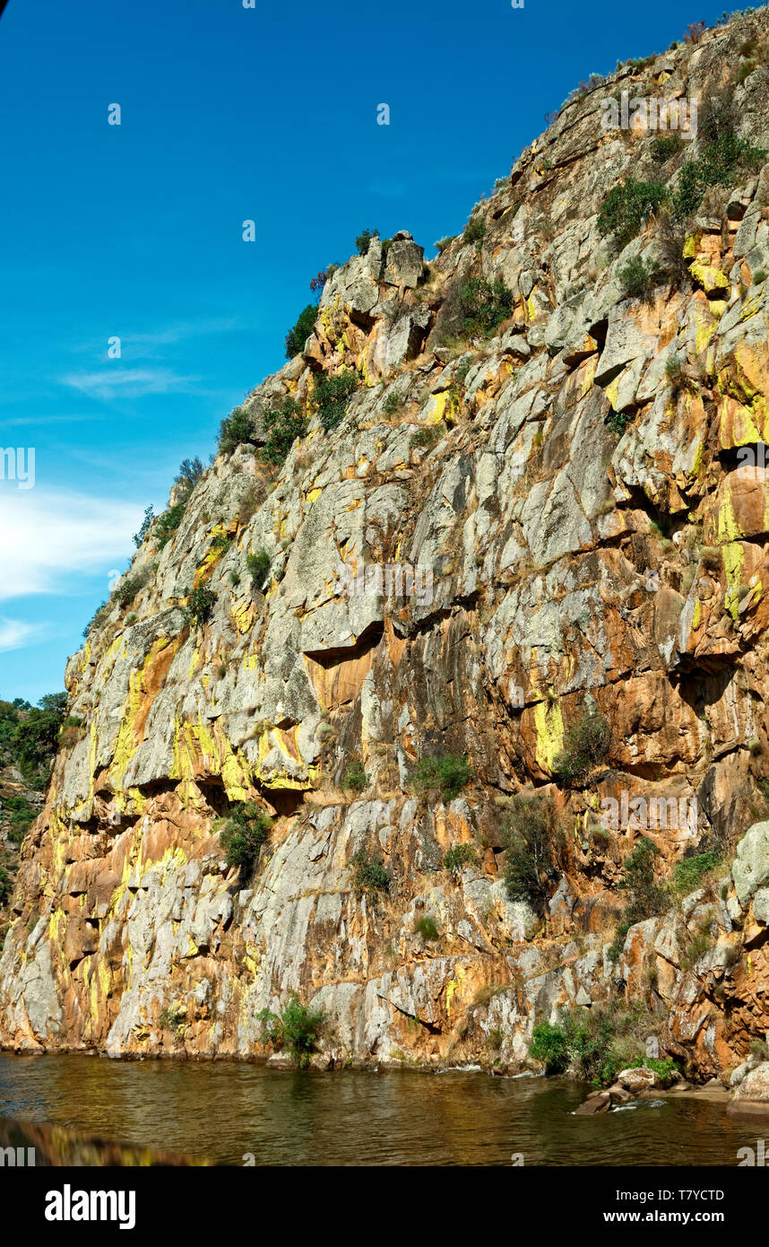 Paysage rock coloré ; hill ; vert de la végétation, la géologie, la vallée de la rivière Douro ; Europe ; Portugal ; printemps ; vertical Banque D'Images