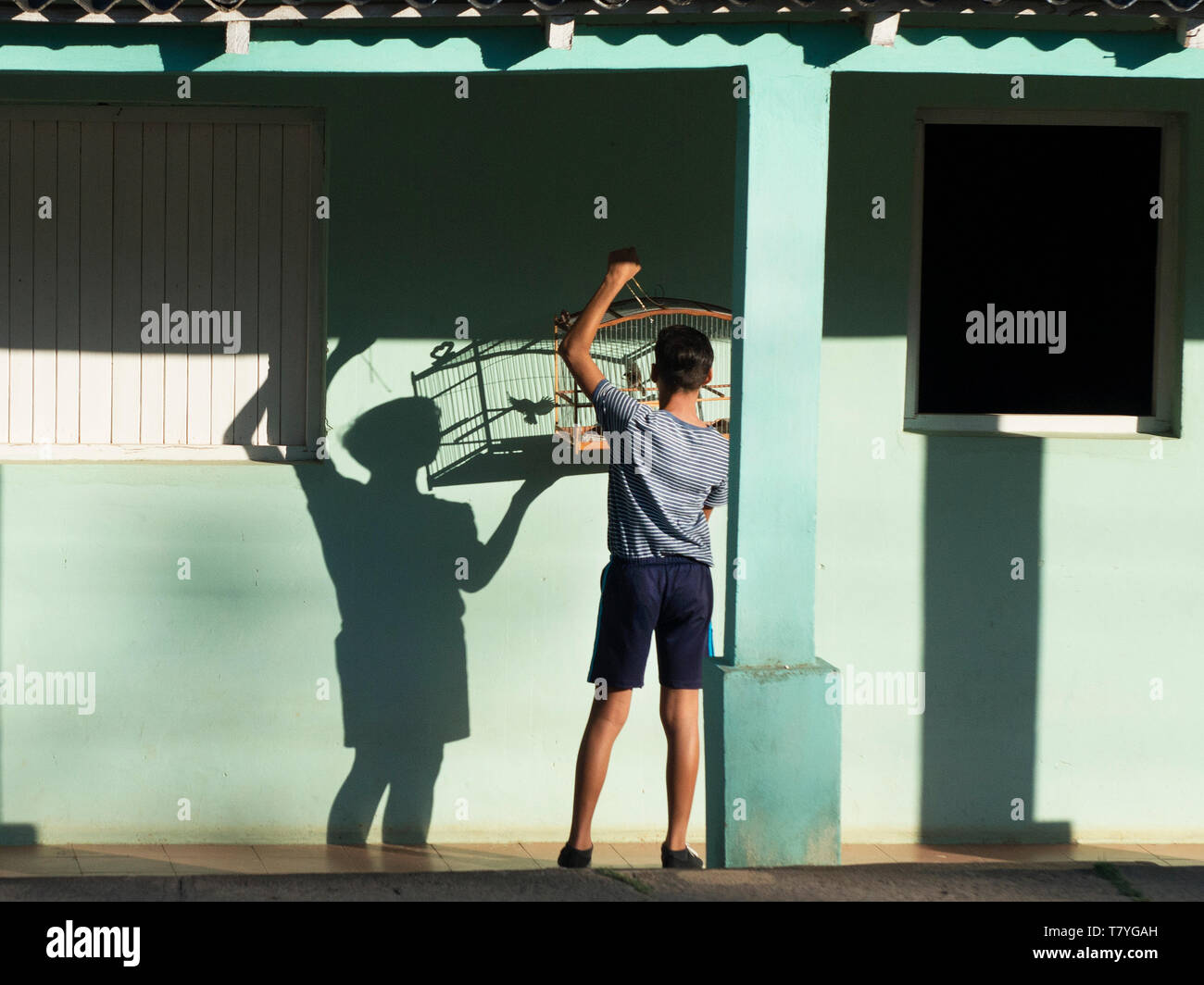 L'aube des ombres sur une maison locale dans la région de Vinales Cuba, où les gens vont à l'école, et le shopping, et la mise en place songbird. Banque D'Images