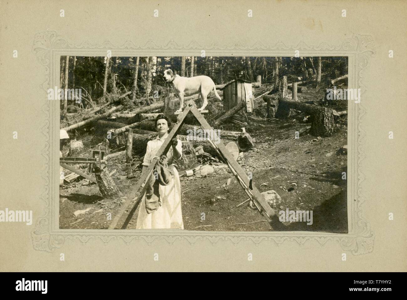 Chien dressé sur une échelle avec une femme, outhouse en arrière-plan, arbres abattus, ca. 1900. MP SP Banque D'Images
