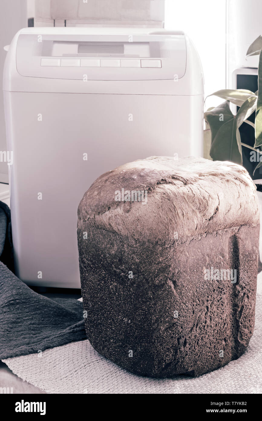 Four électrique pour la cuisson du pain à la maison Banque D'Images