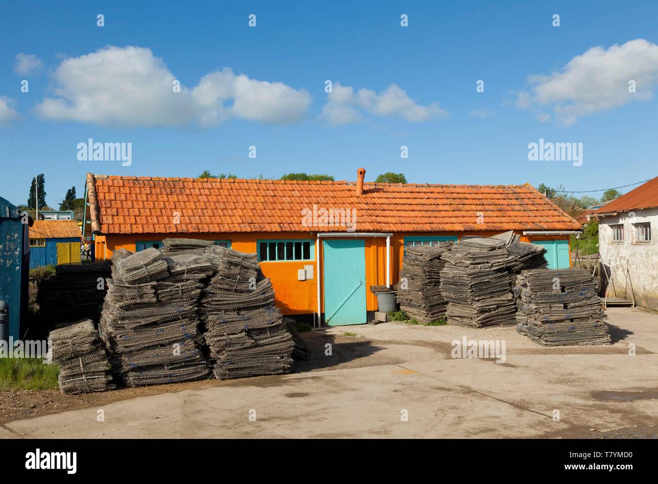 France, Charente Maritime, Ile d'Oléron, le château d'Oléron, port ostréicole de pâté, de cabanes ostréicoles Banque D'Images