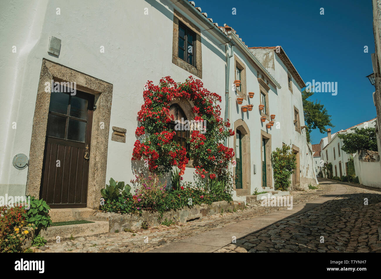 Arbuste Rustique Photos Arbuste Rustique Images Alamy