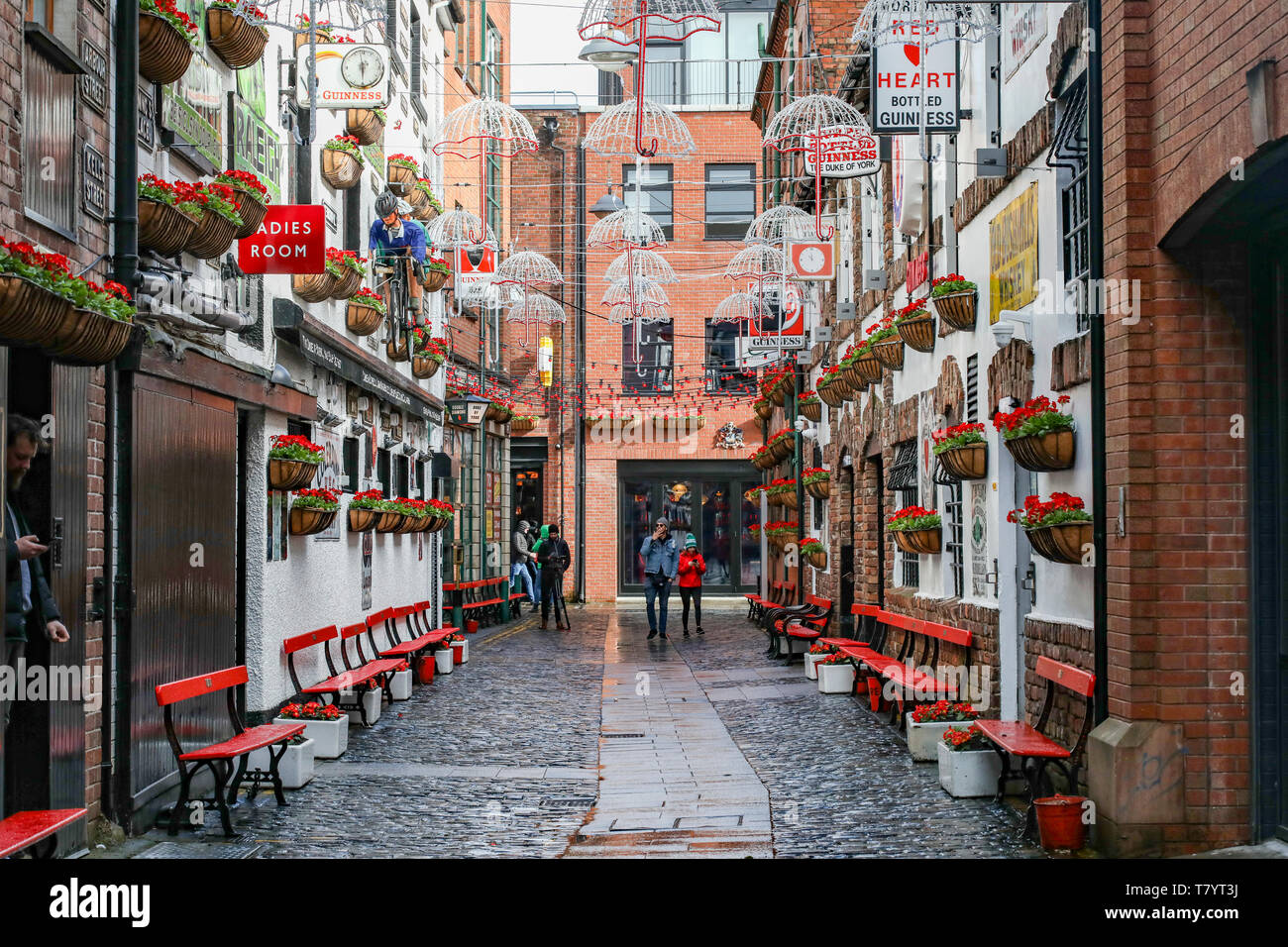 Tribunal de commerce, quartier de la cathédrale, de Belfast, en Irlande du Nord Banque D'Images