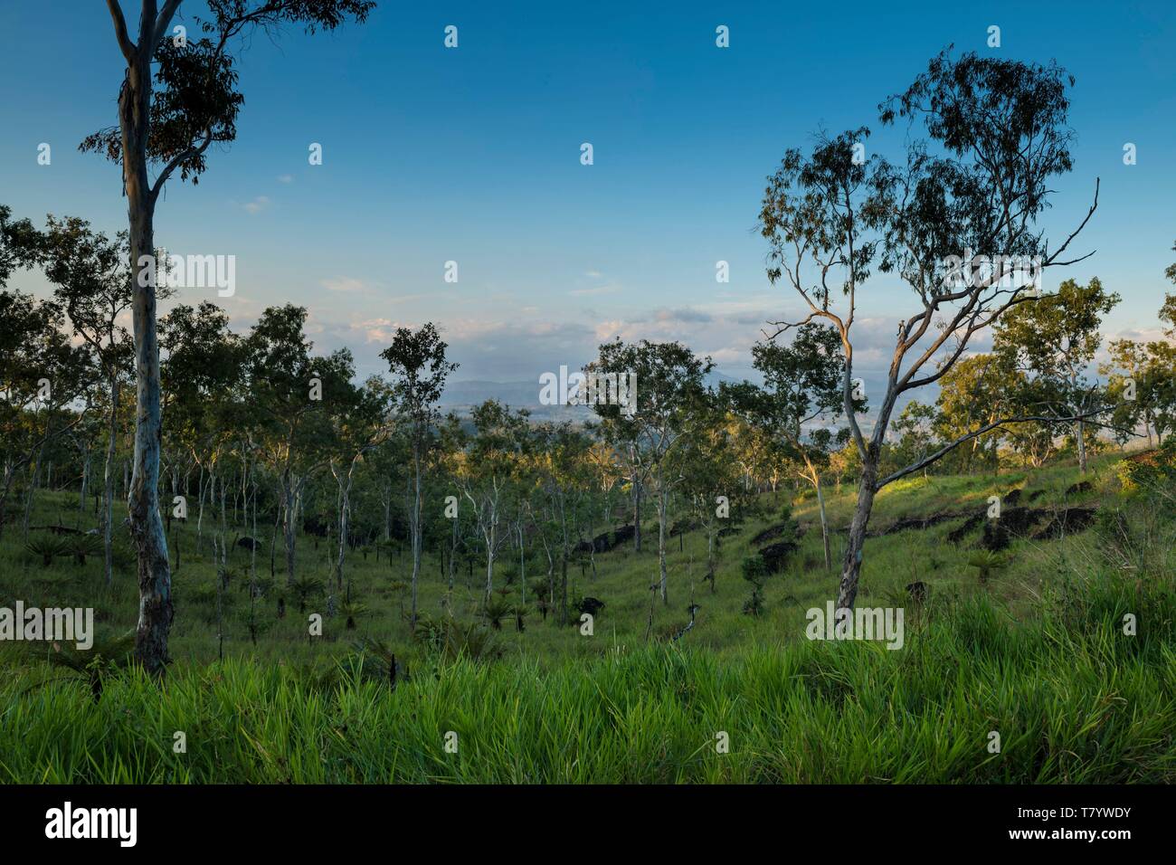 La Papouasie-Nouvelle-Guinée, la Papouasie-Nouvelle-bay, District de la capitale nationale, la ville de Port Moresby, Varirata National Park Banque D'Images