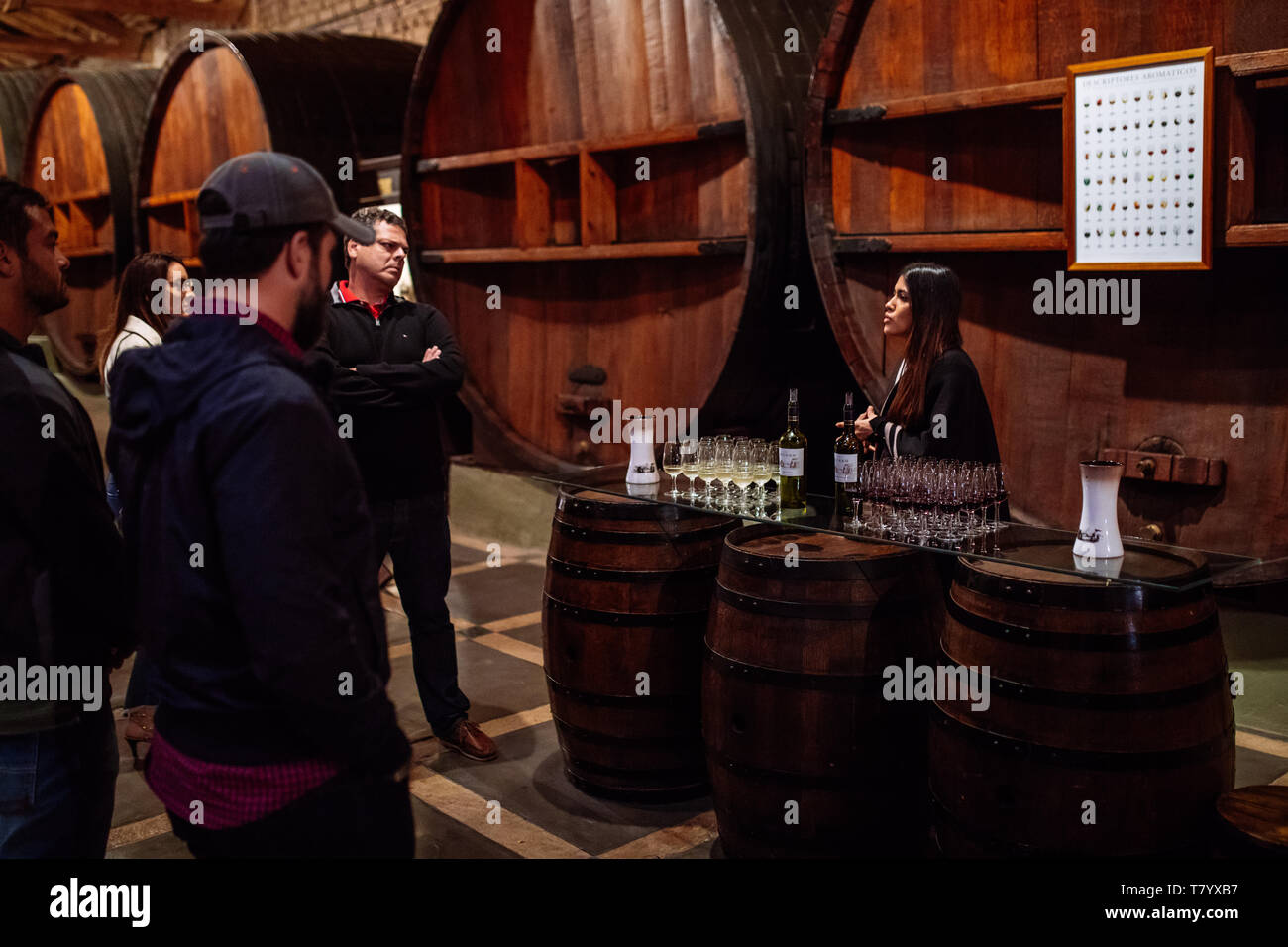 Dégustation de vin Visite guidée avec un guide féminin dans Bodega La Rural, Coquimbito, Maipú, Mendoza, Argentine Banque D'Images