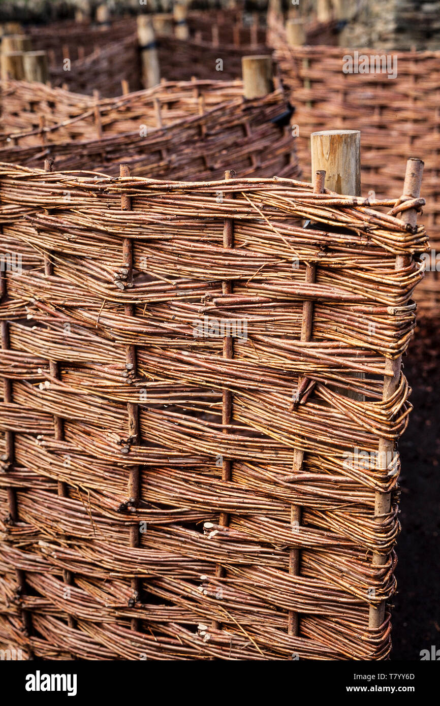 Hazel, haies de clôture clôture de bois tissés traditionnels panneaux fabriqués à partir de taillis (Corylus sp.) Banque D'Images